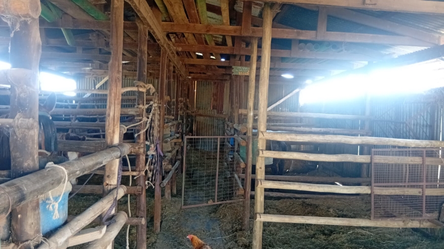 Commercial Property for Sale in Parys Rural Free State